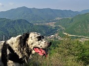 Pizzo di Spino ad anello con linea taglia-fuoco via Pregaroldi-15magg22 - FOTOGALLERY